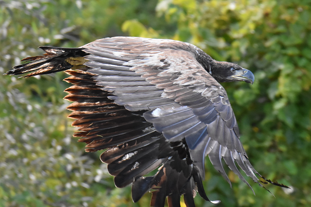 Lake Champlain Vacation 40