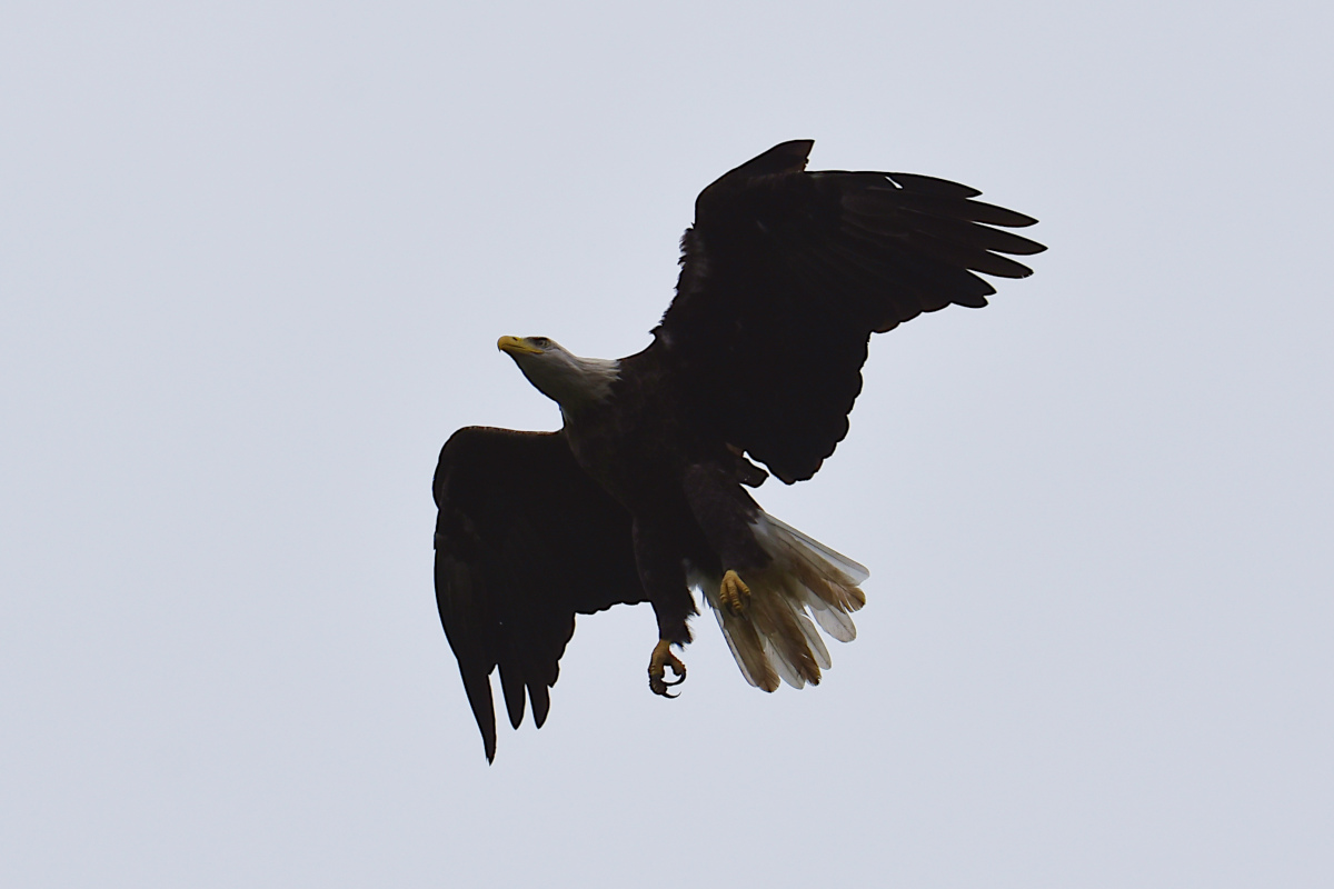 Stockport Flats (Cindy) 05