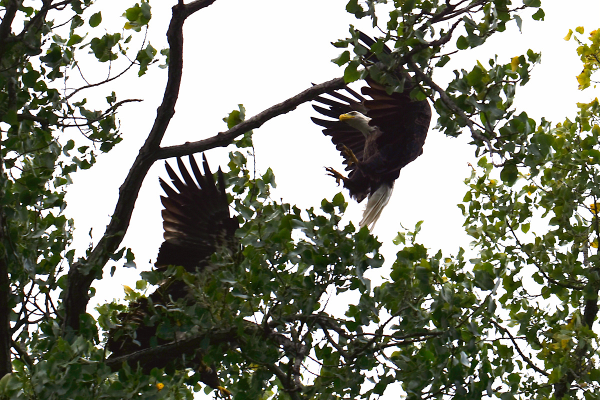 Stockport Flats (Cindy) 06