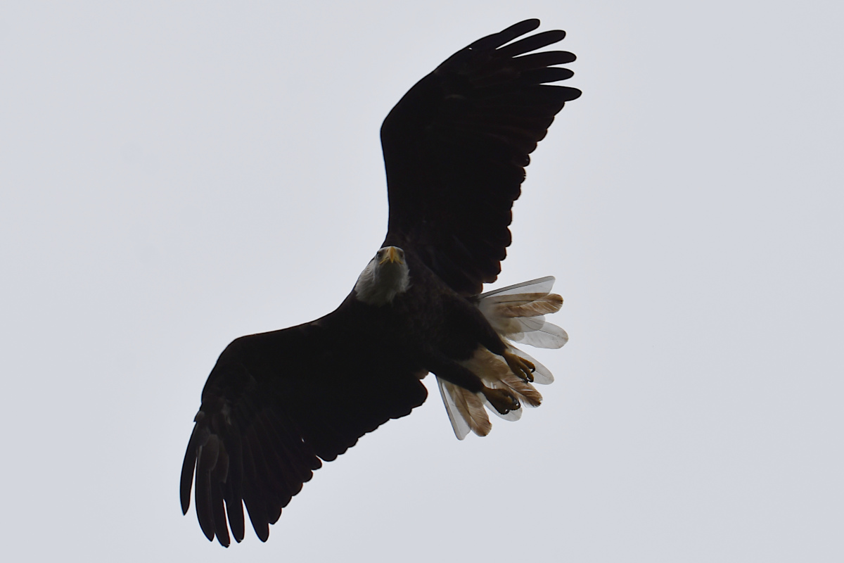 Stockport Flats (Cindy) 07