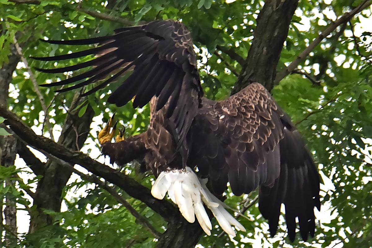 A Day on the Hudson 01