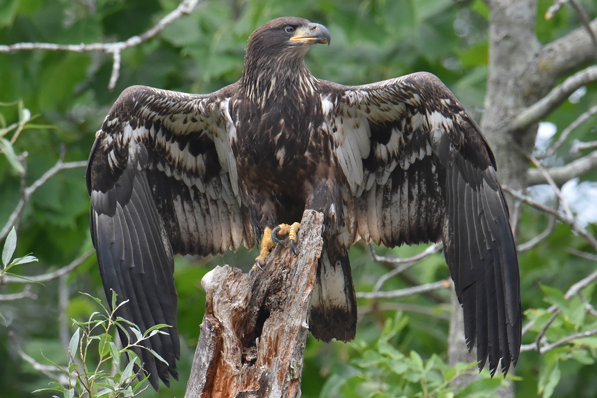 A Day on the Hudson 04