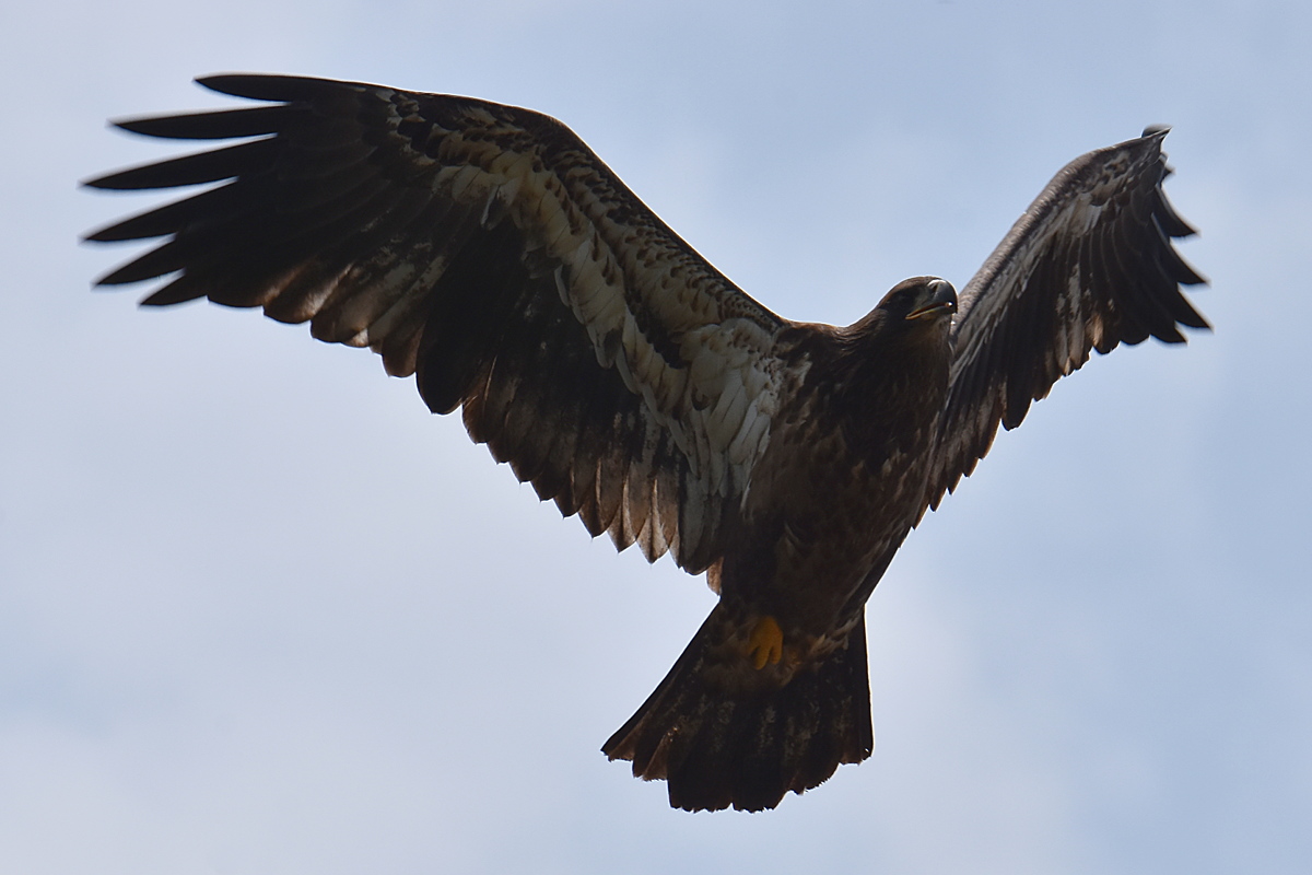 A Day on the Hudson 13