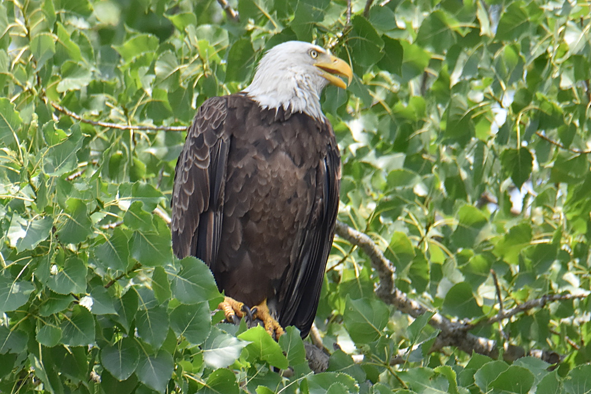 A Day on the Hudson 14