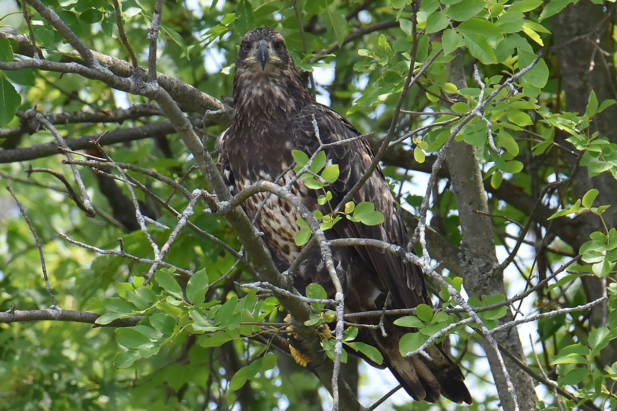 A Day on the Hudson 15