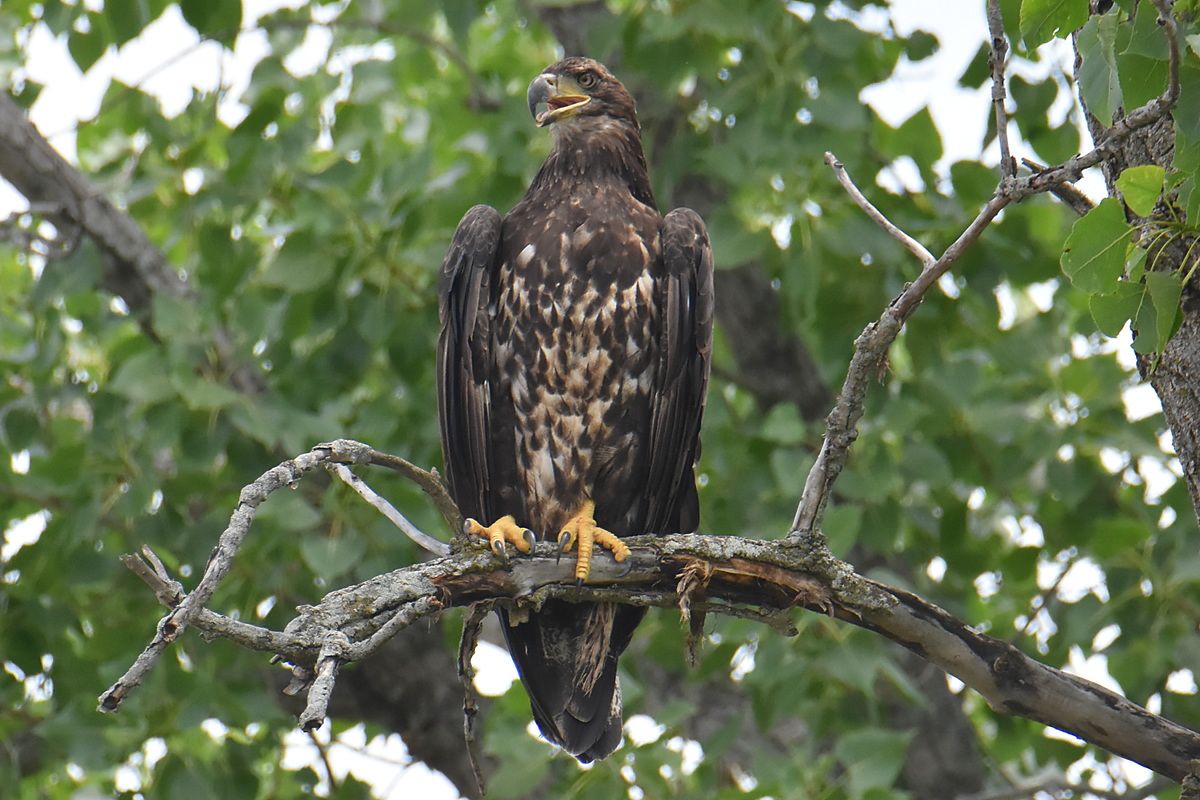 A Day on the Hudson 16
