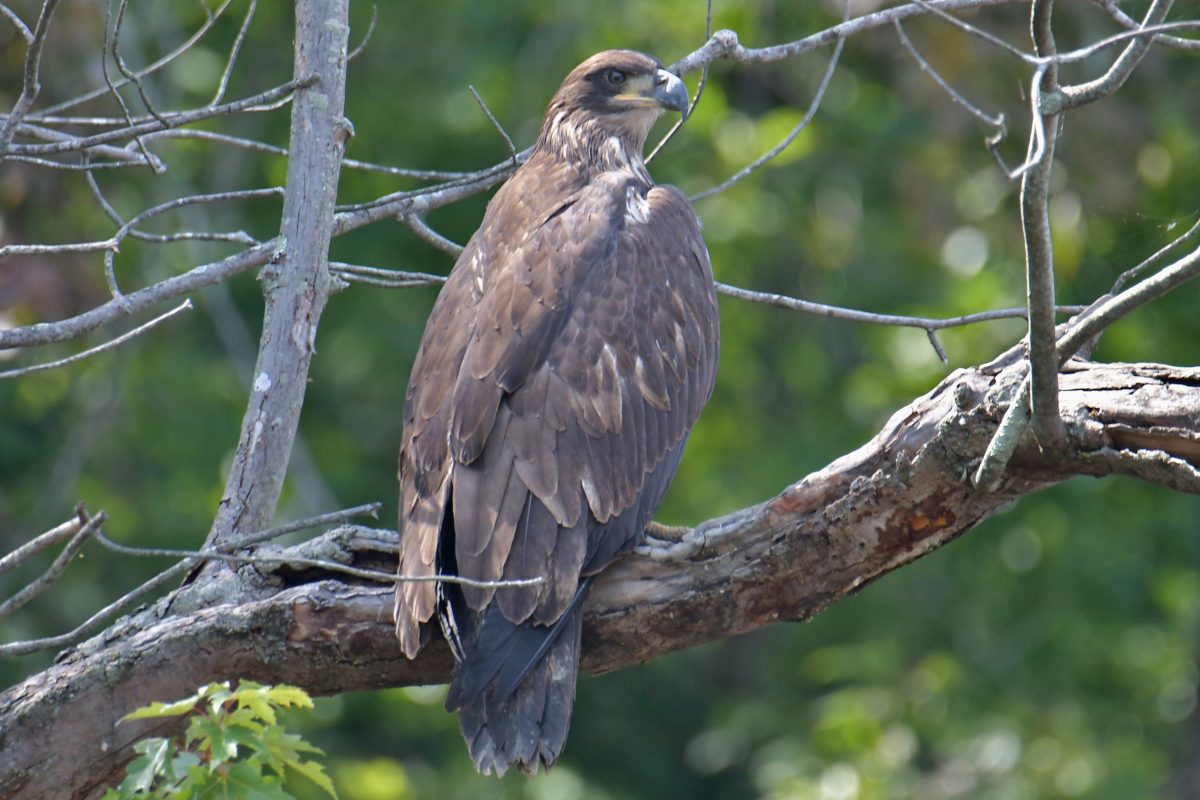 Stockport Flats Engagement (Rachel & Adriano) 13