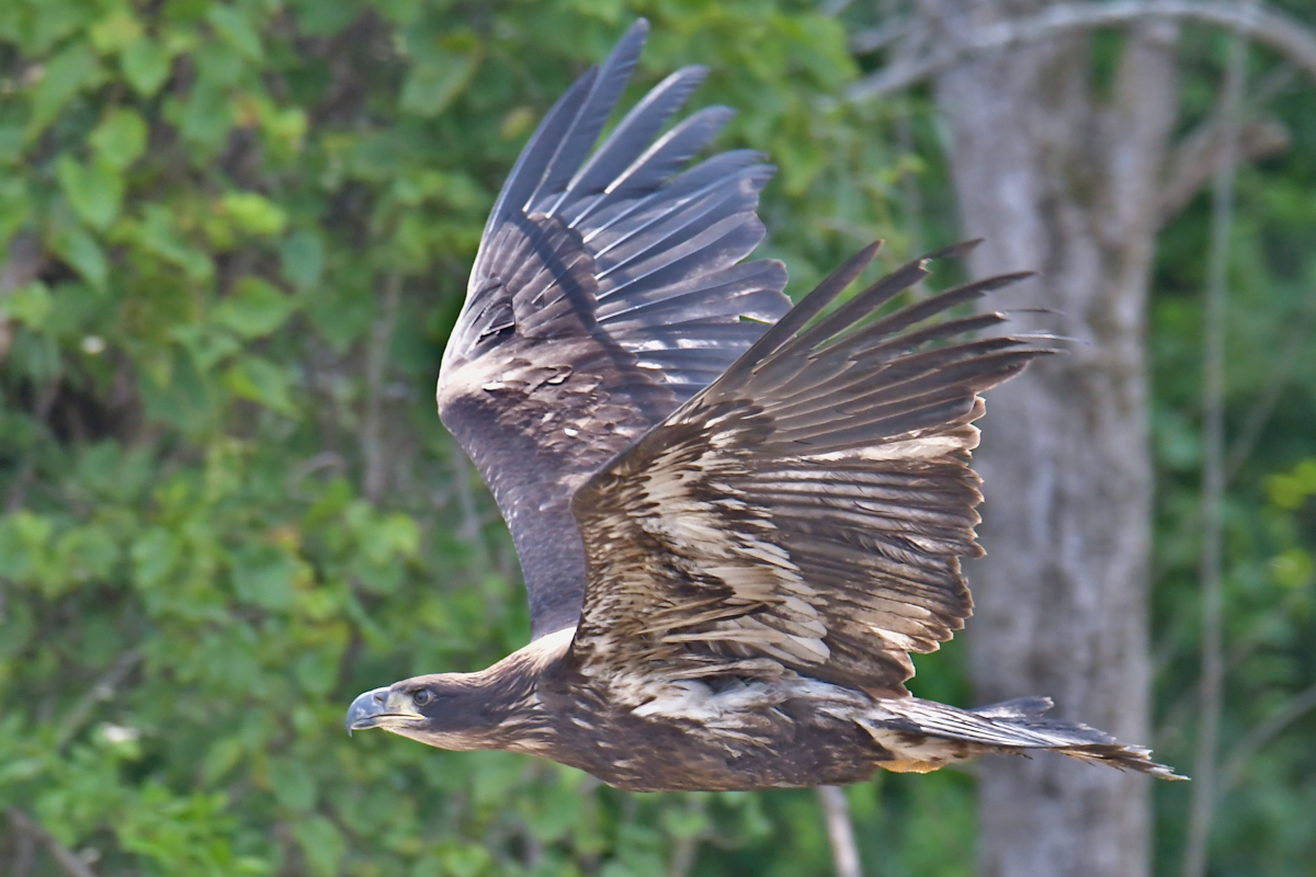 Stockport Flats Engagement (Rachel & Adriano) 14