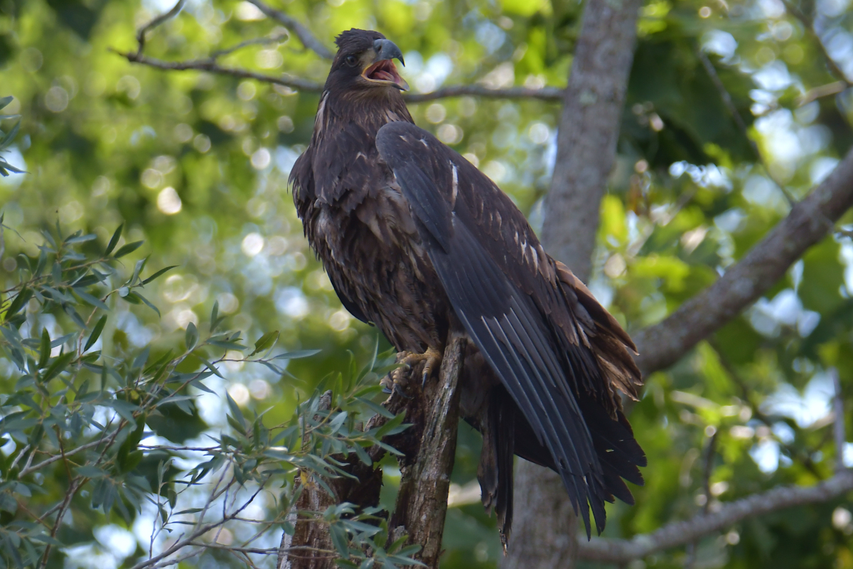 Stockport Flats Engagement (Rachel & Adriano) 15