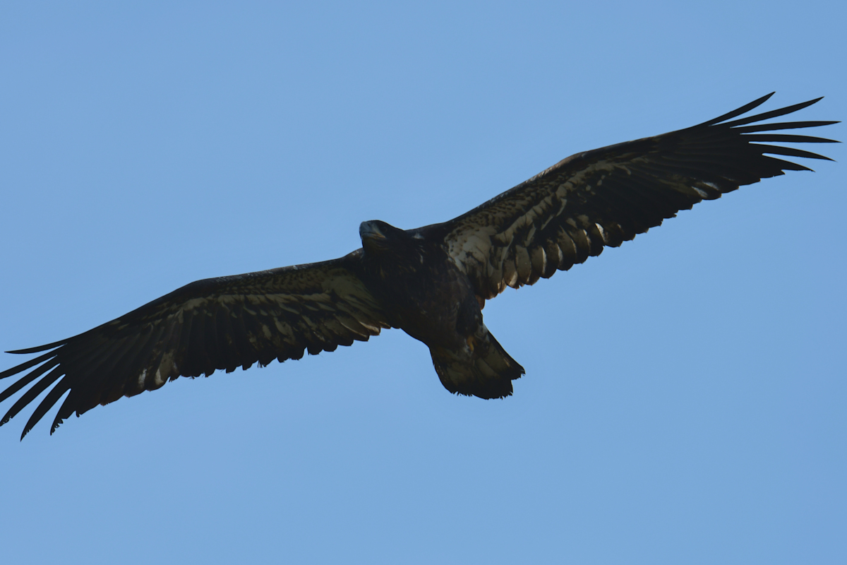 Stockport Flats Engagement (Rachel & Adriano) 16