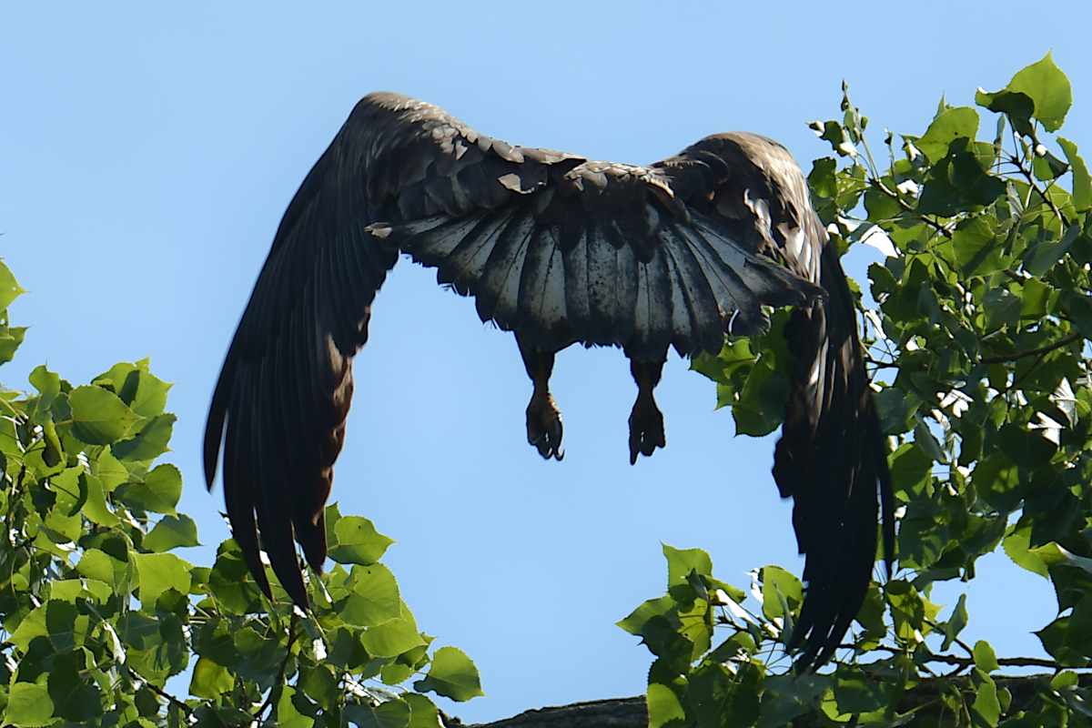 Stockport Flats Engagement (Rachel & Adriano) 17