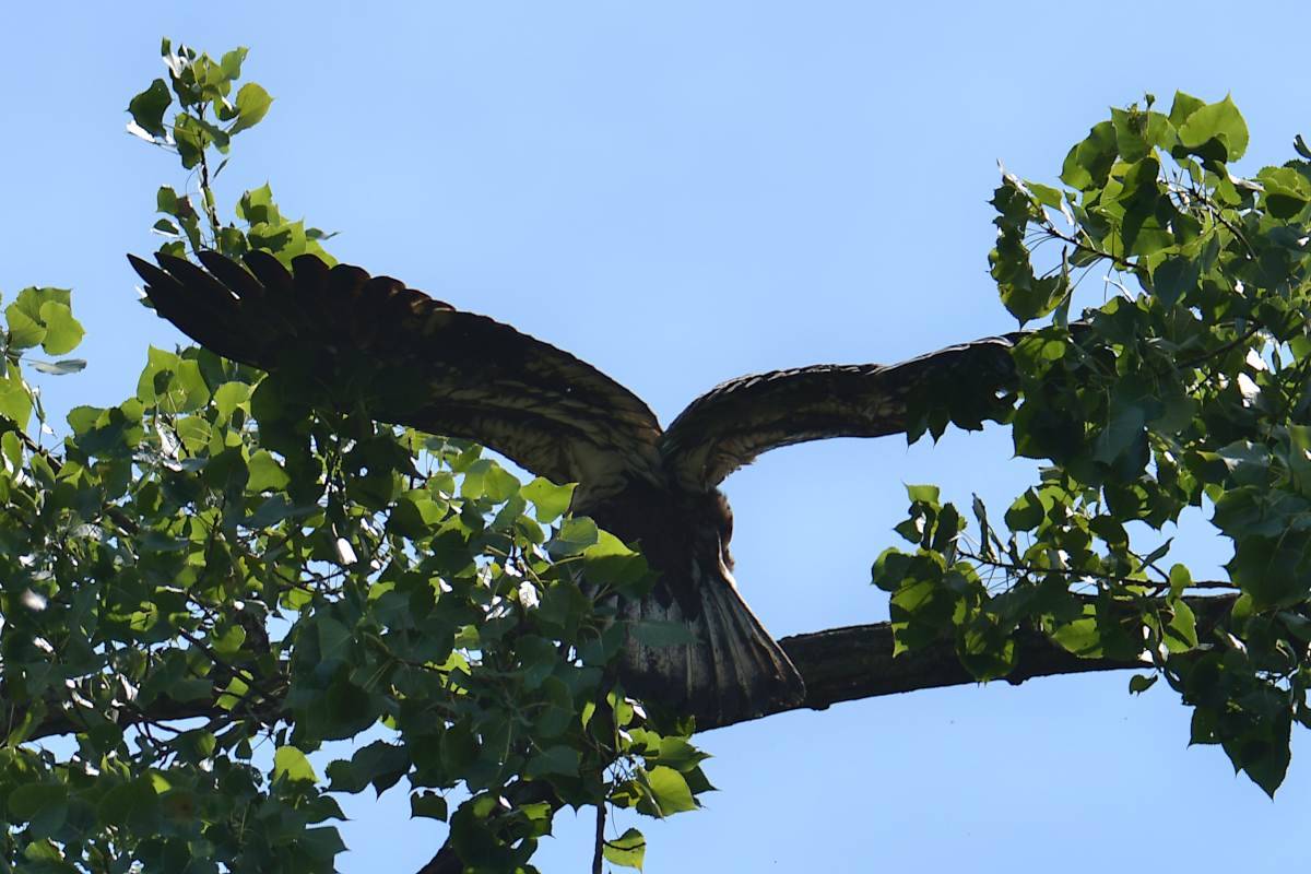 Stockport Flats Engagement (Rachel & Adriano) 18