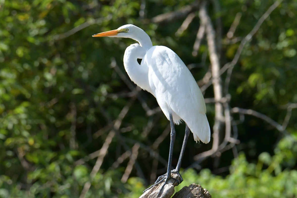 Stockport Flats Engagement (Rachel & Adriano) 22