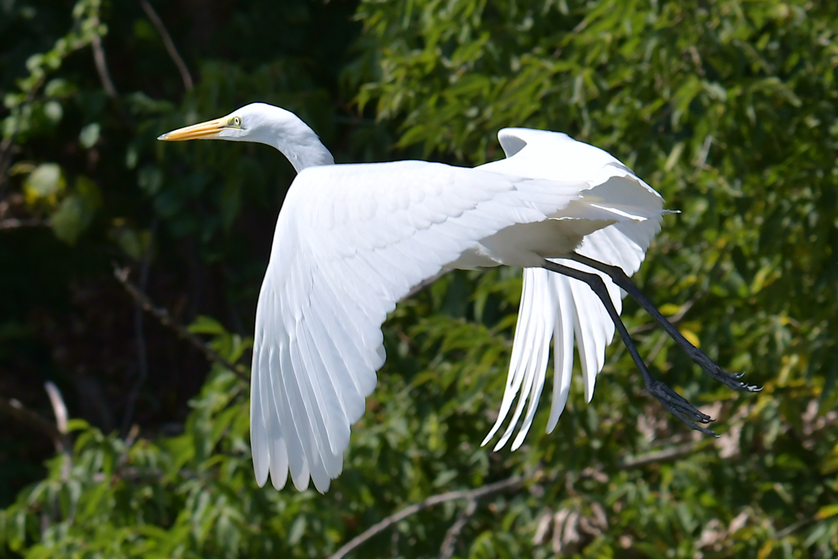 Stockport Flats Engagement (Rachel & Adriano) 23