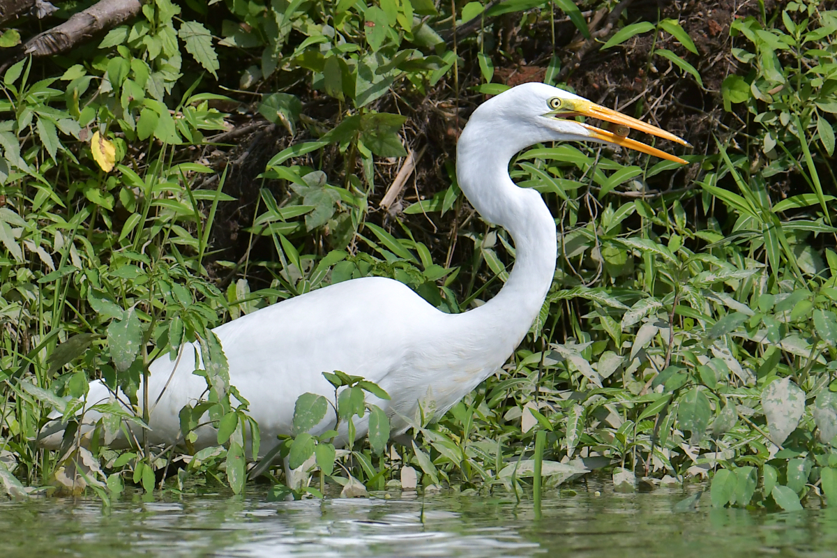 Stockport Flats Engagement (Rachel & Adriano) 28