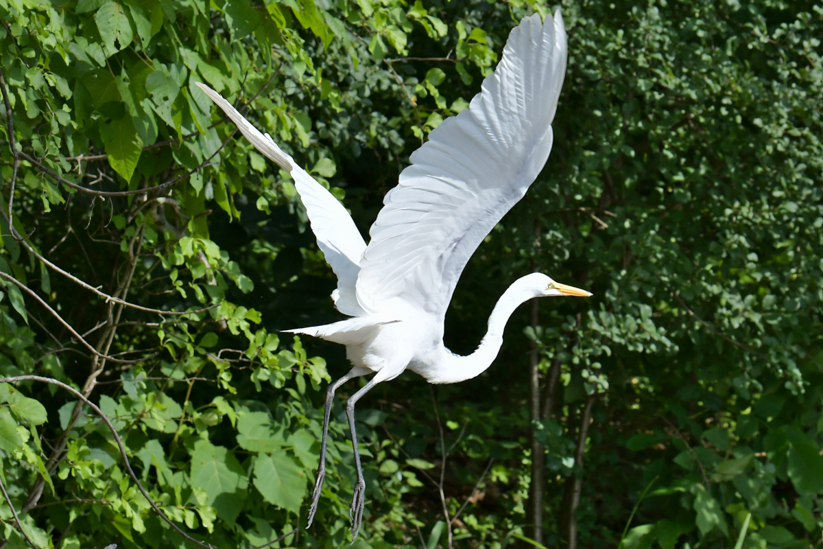 Stockport Flats Engagement (Rachel & Adriano) 30