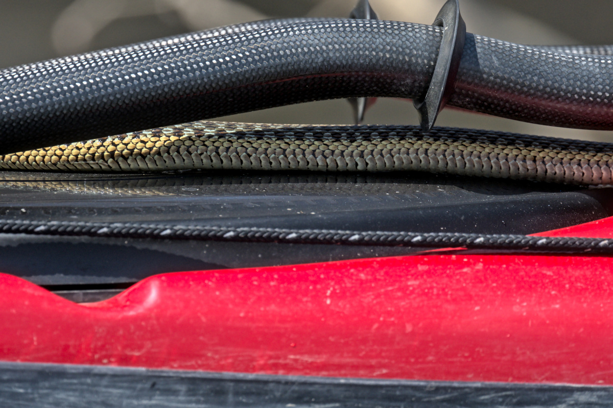 Houghtaling Island Area 28