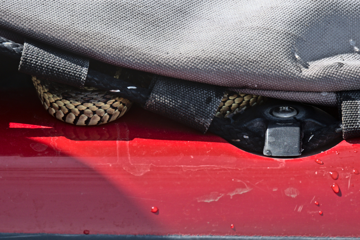 Houghtaling Island Area 29