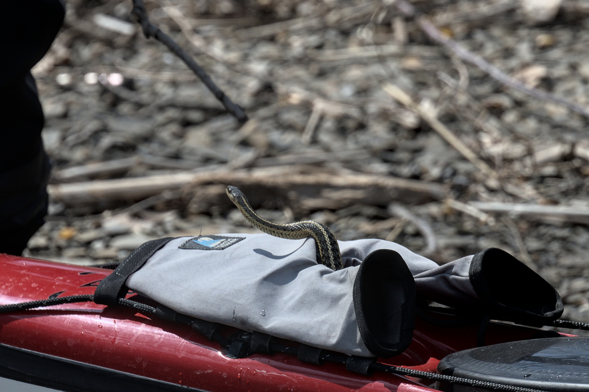 Houghtaling Island Area 31