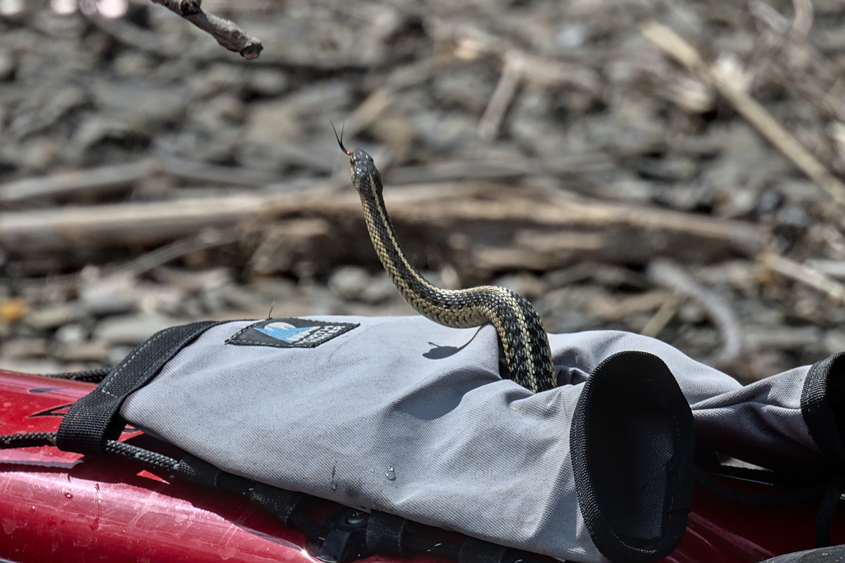 Houghtaling Island Area 32