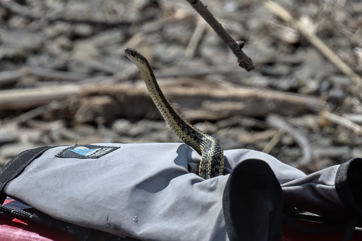 Houghtaling Island Area 33