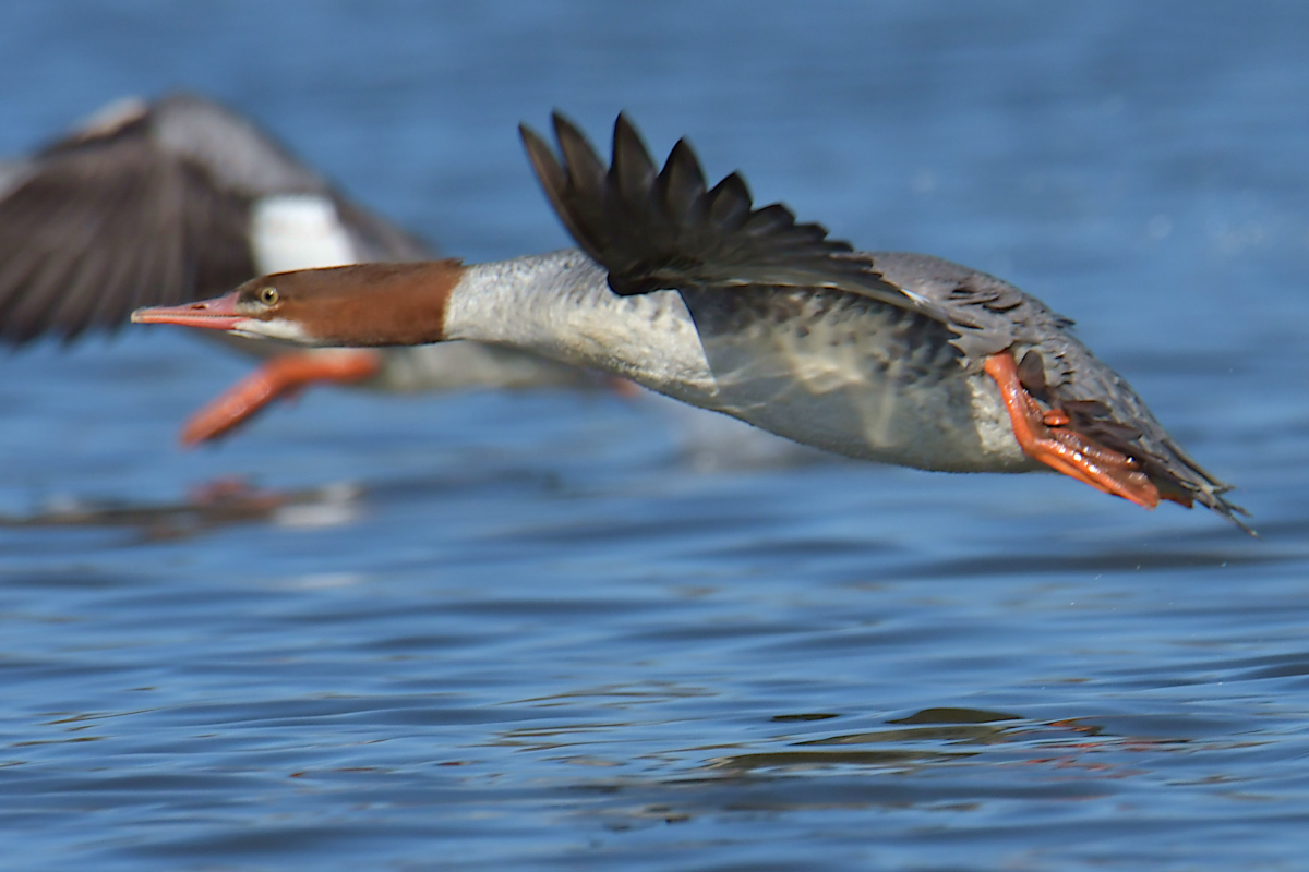 Indian Summer on the Hudson 08