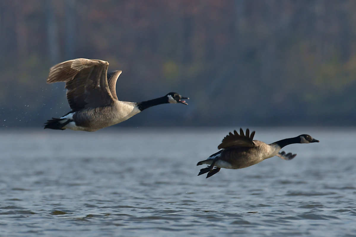 Indian Summer on the Hudson 09
