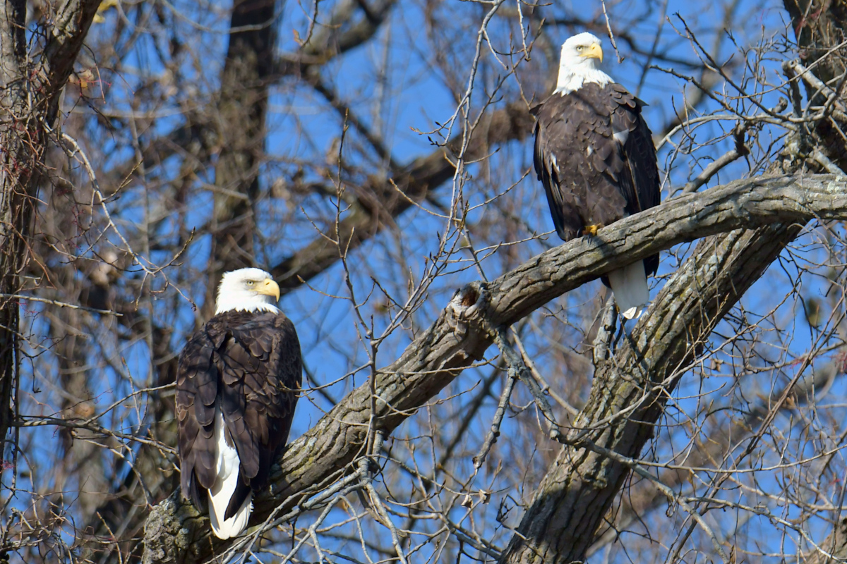 Indian Summer on the Hudson 10