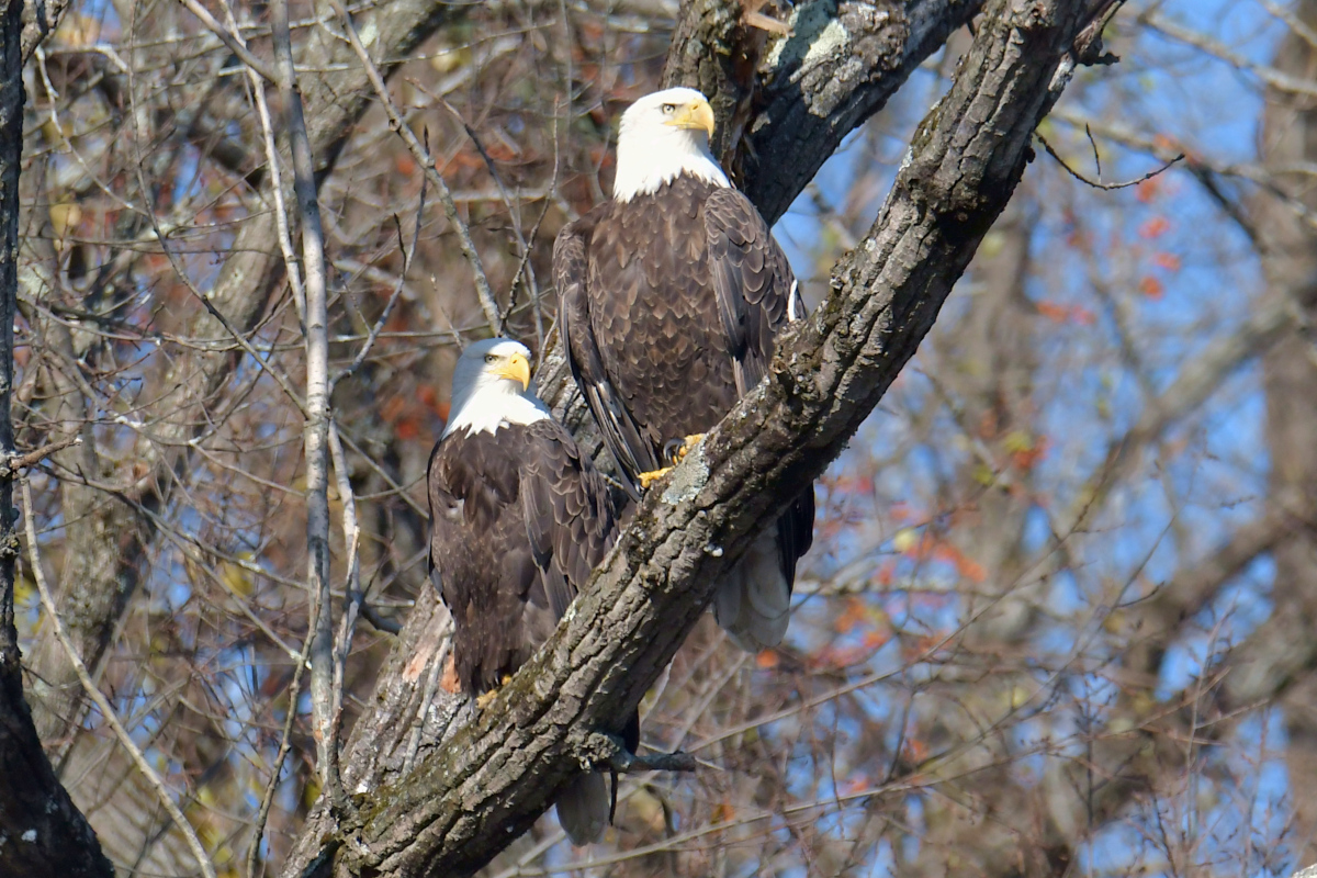 Indian Summer on the Hudson 11