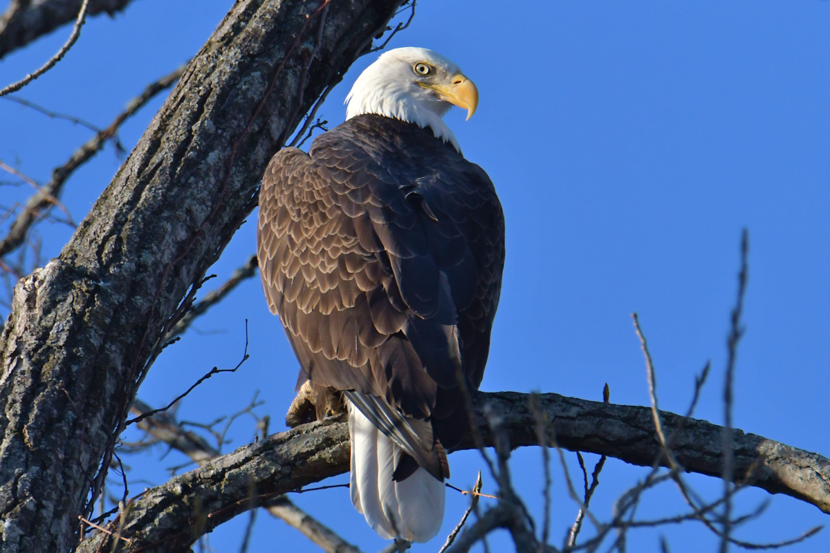 Indian Summer on the Hudson 14