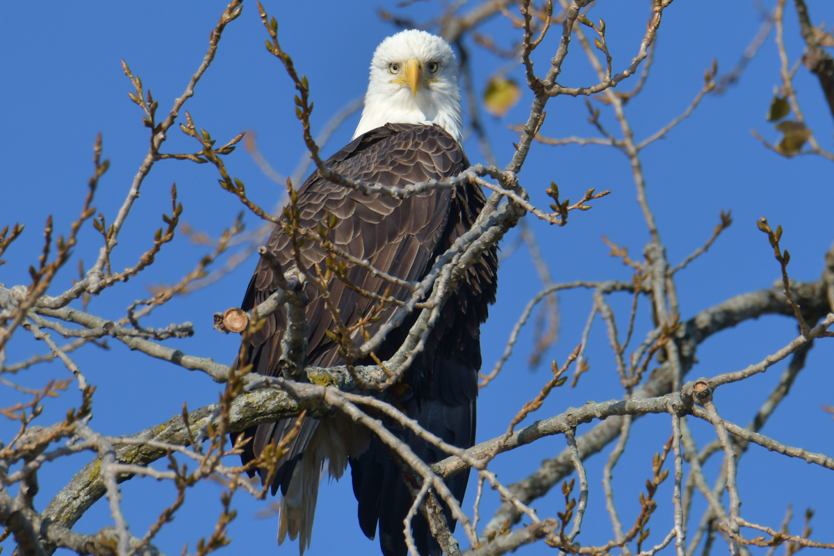 Indian Summer on the Hudson 15