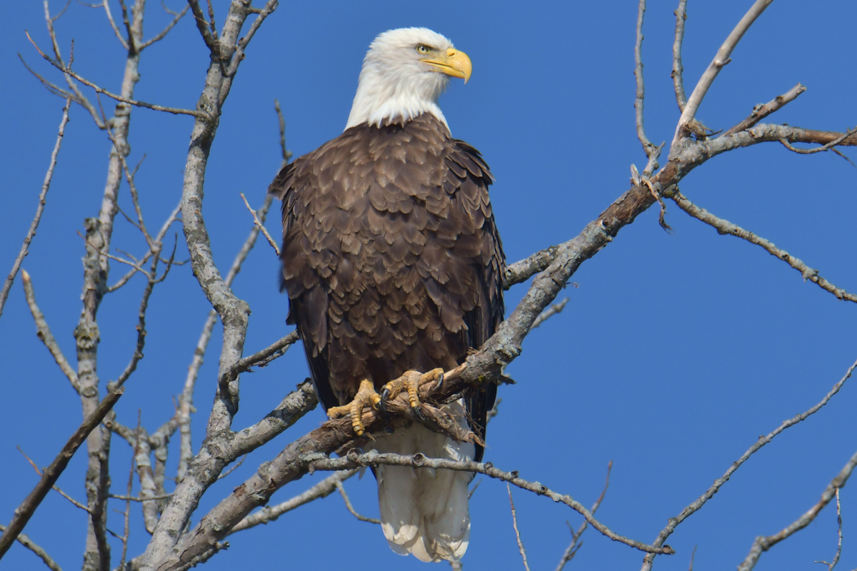 Indian Summer on the Hudson 16