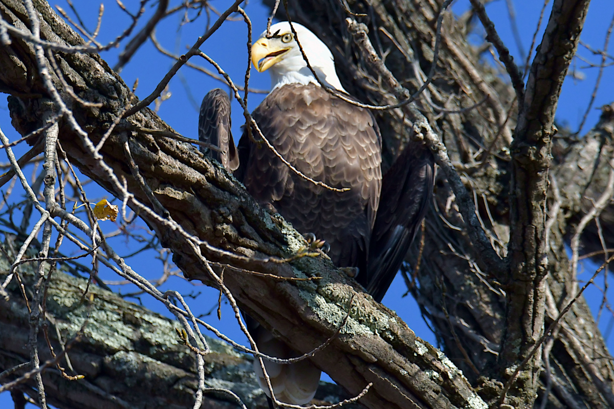 Indian Summer on the Hudson 18