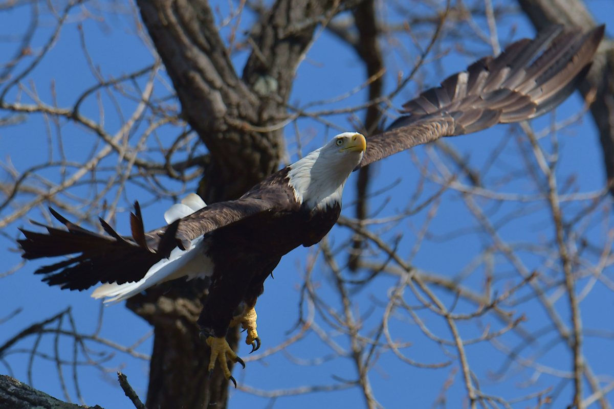 Indian Summer on the Hudson 19