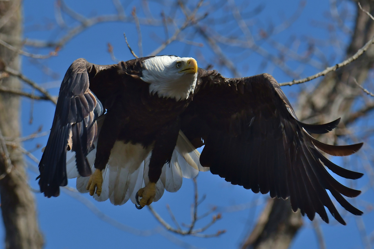 Indian Summer on the Hudson 20