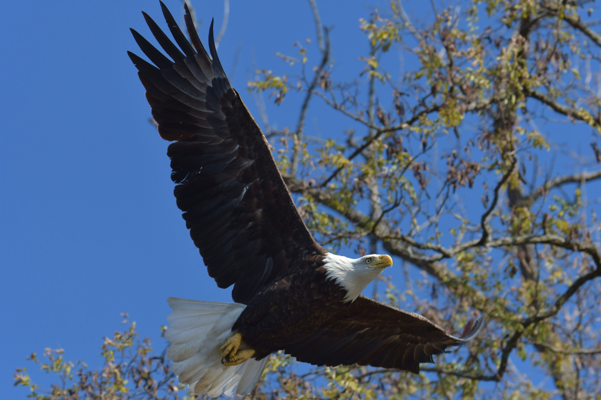 Indian Summer on the Hudson 21