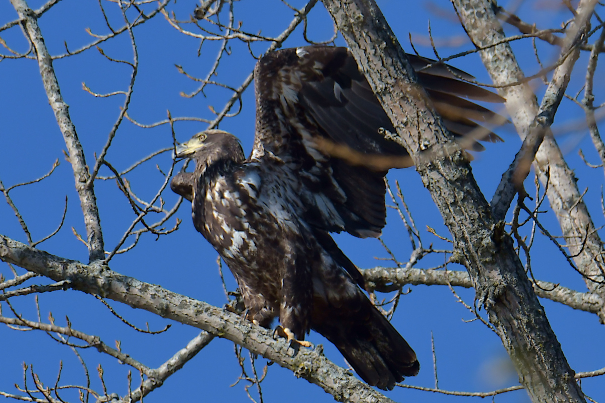 Indian Summer on the Hudson 23