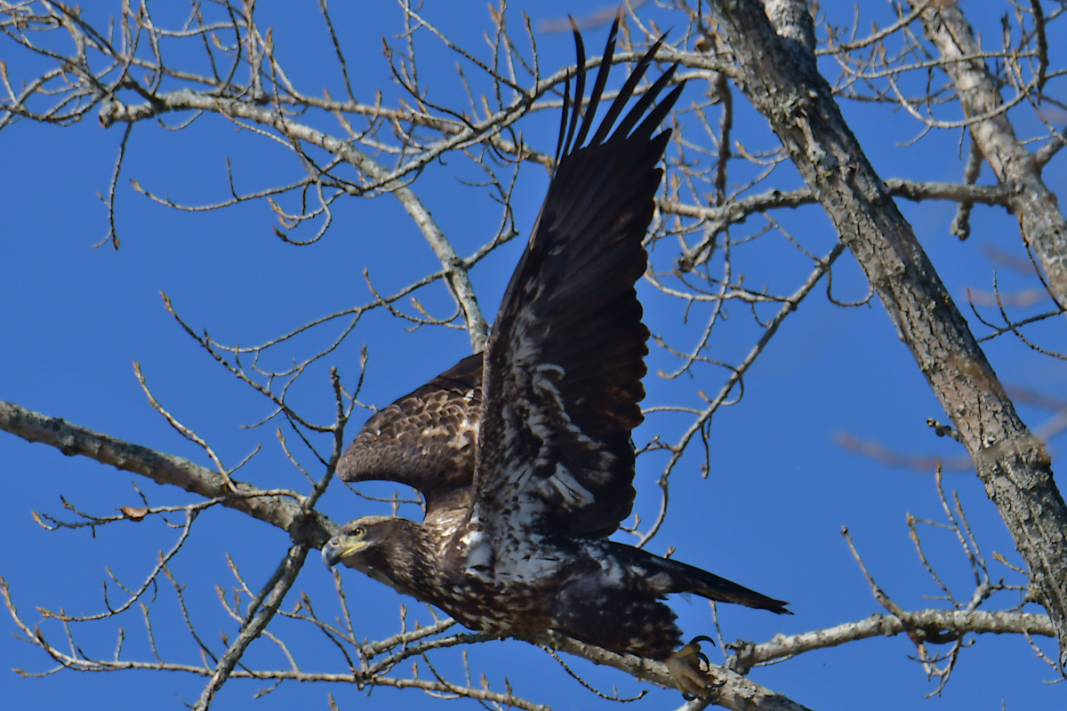 Indian Summer on the Hudson 24
