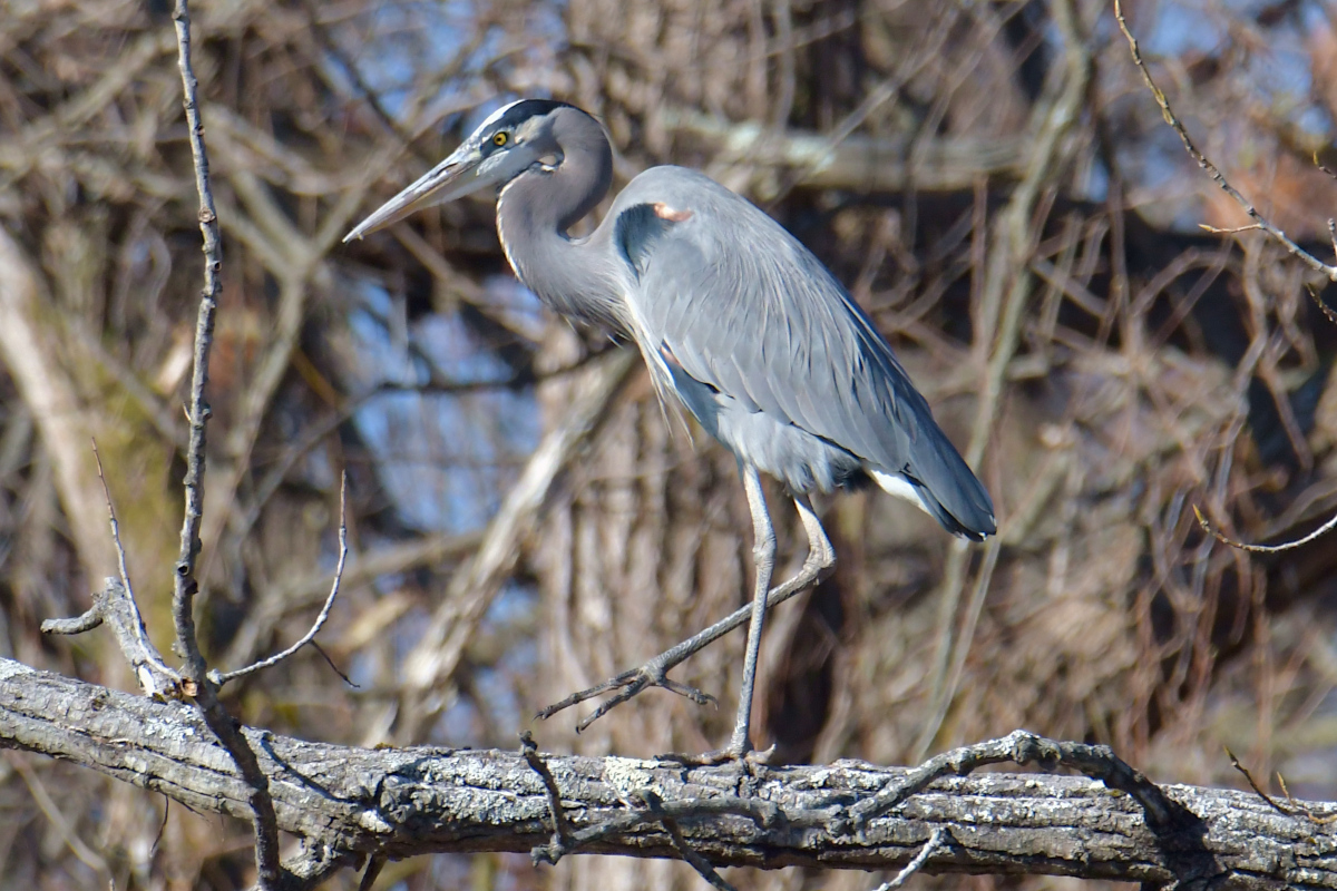 Indian Summer on the Hudson 25