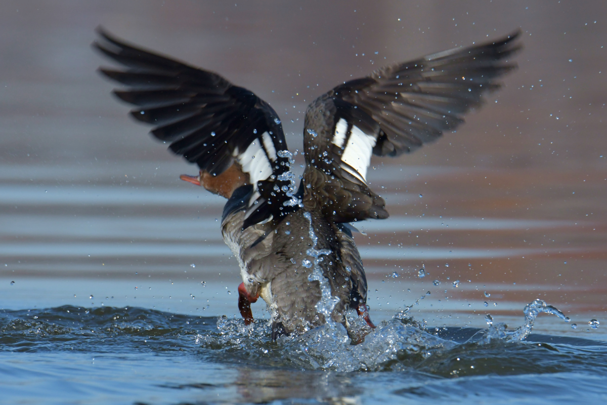 Indian Summer on the Hudson 27