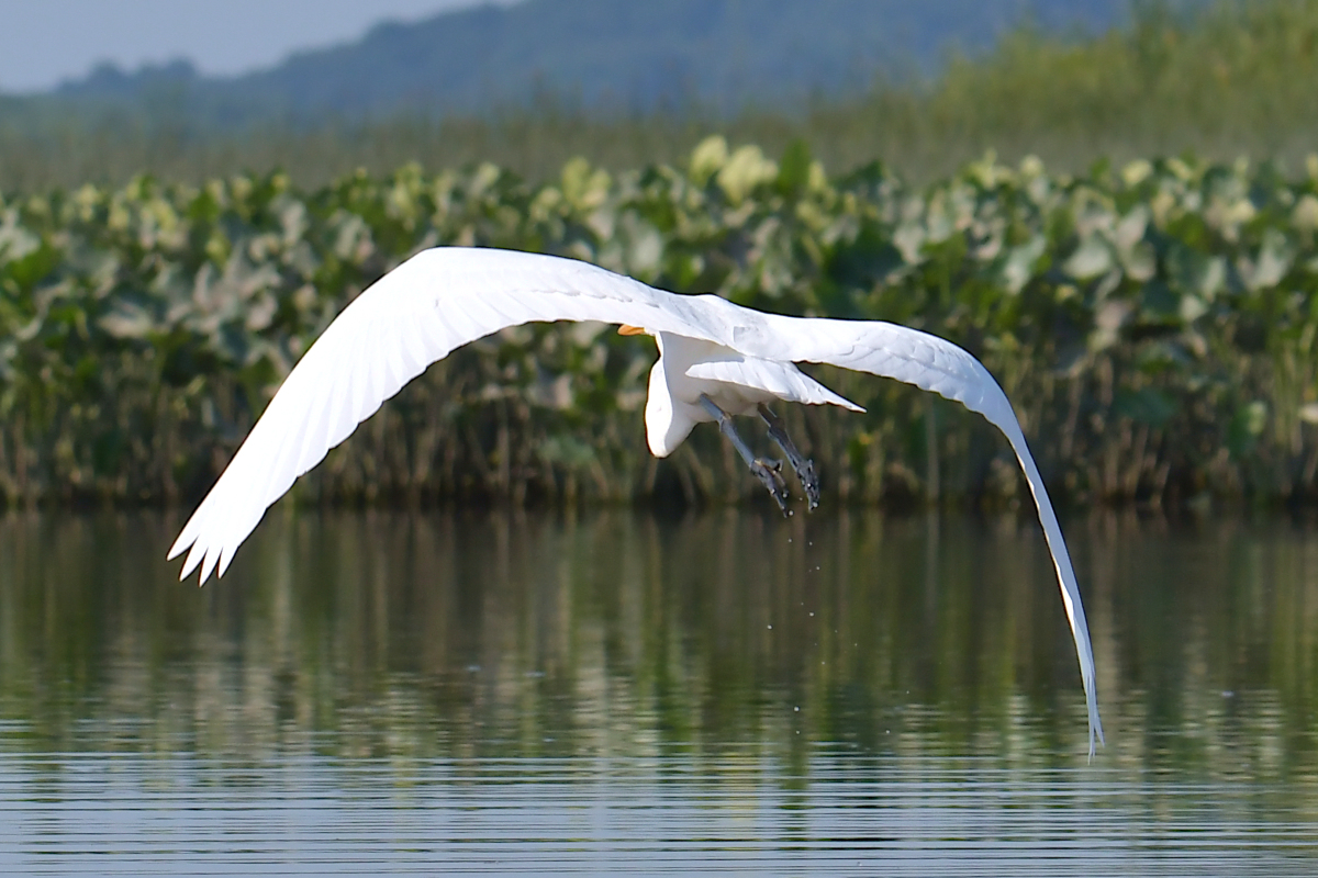 A July Day at Stockport Flats 30