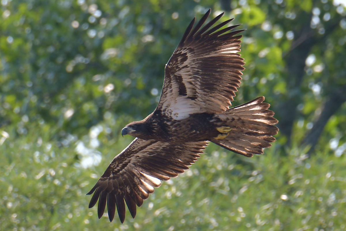 A July Day at Stockport Flats 32