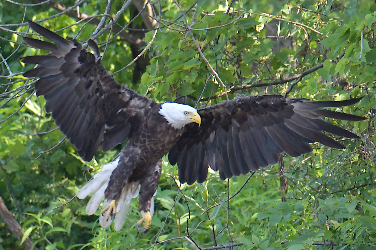 A July Day at Stockport Flats 33