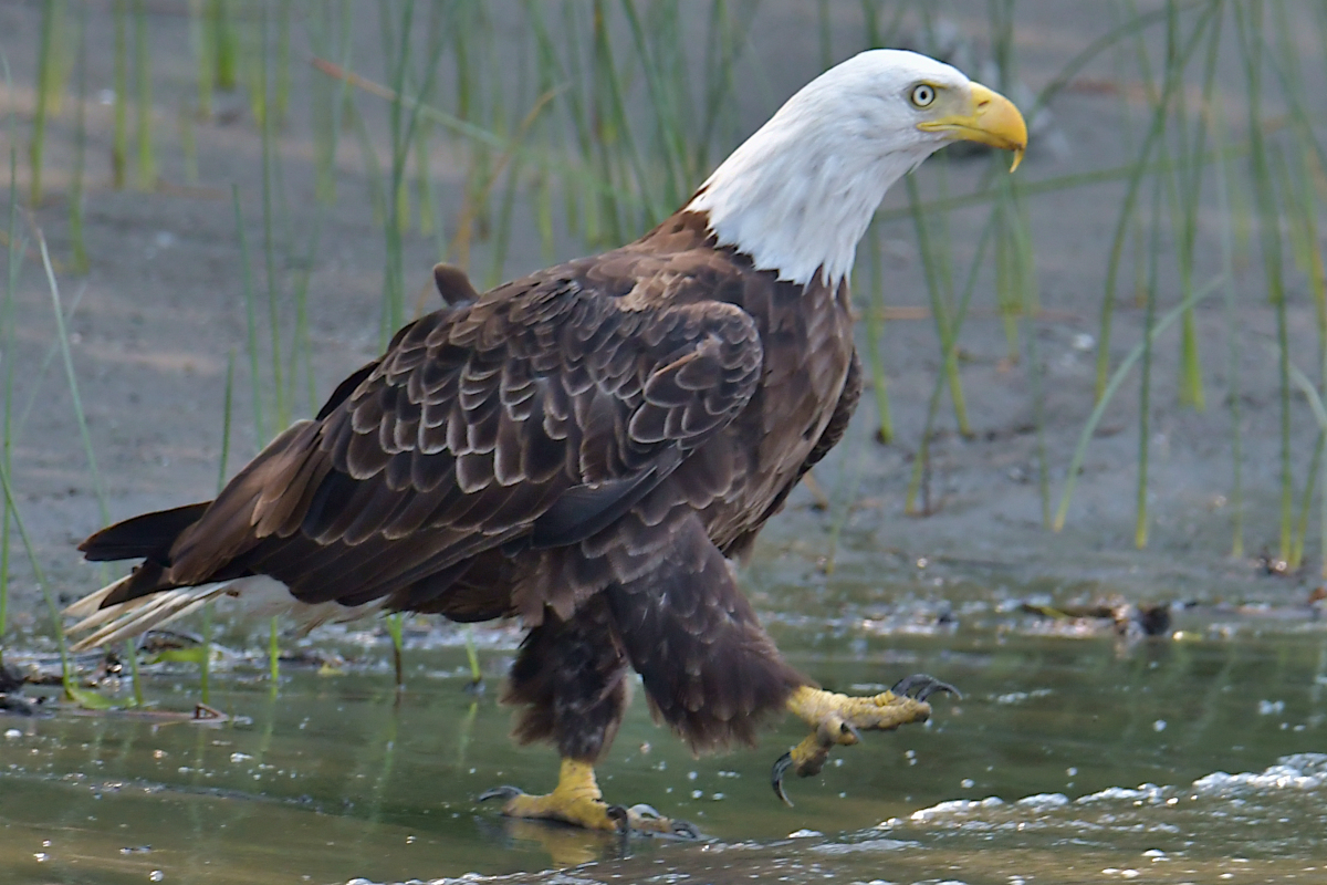 A July Day at Stockport Flats 38