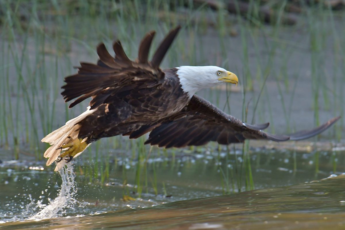 A July Day at Stockport Flats 40