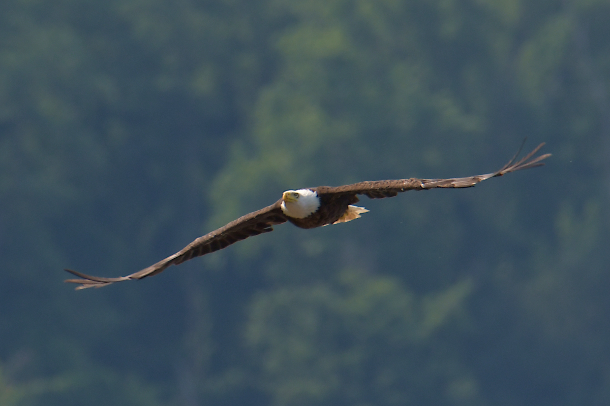 A July Day at Stockport Flats 41