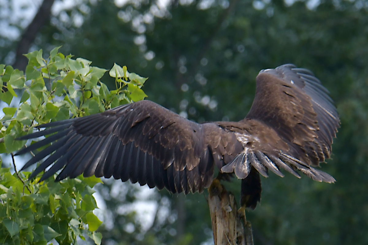 A July Day at Stockport Flats 51