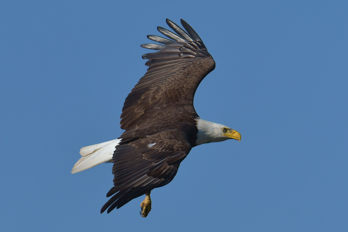 Early June at Stockport Flats 24
