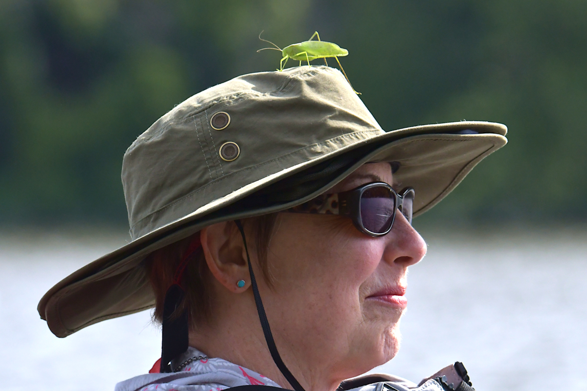 A Katydid Touring Stockport Flats 02