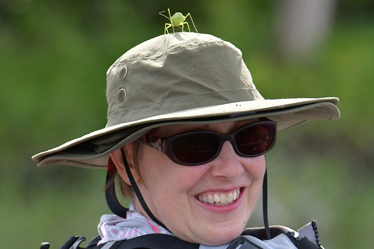 A Katydid Touring Stockport Flats 17